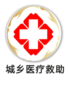 城乡医疗救助