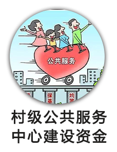 村级公共服务中心建设资金