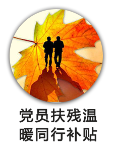 党员扶残温暖同行补贴