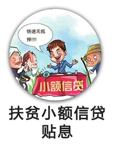 扶贫小额信贷贴息