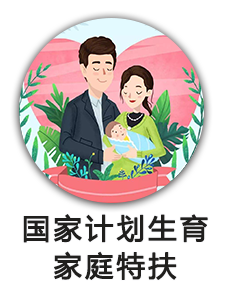 国家计划生育家庭特扶