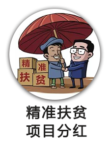 精准扶贫项目分红