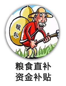 粮食直补资金补贴