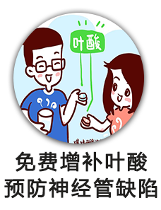 免费增补叶酸预防神经管缺陷
