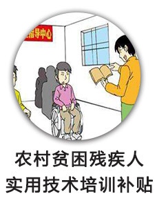 农村贫困残疾人实用技术培训补贴