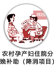 农村孕产妇住院分娩补助（降消项目）