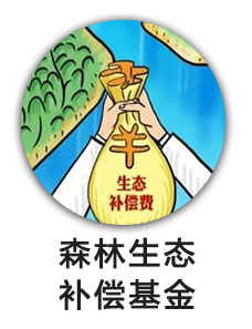 森林生态补偿基金