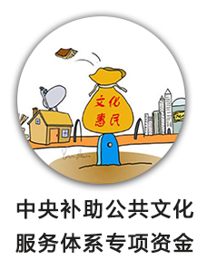 中央补助公共文化服务体系专项资金